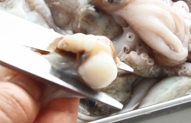 Sơ chế bạch tuộc sạch nhớt với bột mì trước khi chế biến món bạch tuộc xào cay Hàn Quốc