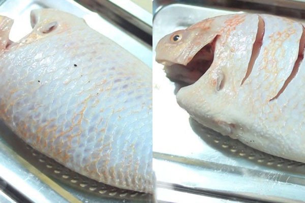 Sơ chế cá diêu hồng đúng cách trước khi hấp xì dầu