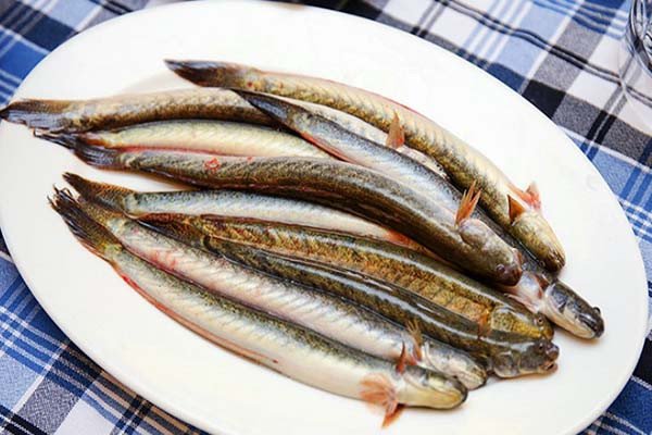 Sơ chế cá kèo loại bỏ nhớt hiệu quả