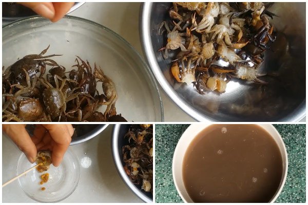 Sơ chế cua đồng lấy gạch và xay thịt cua