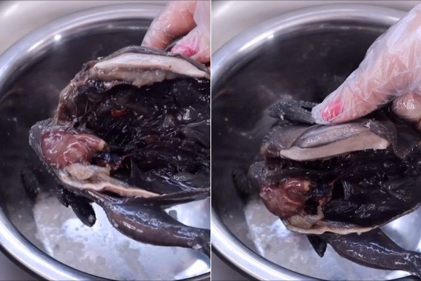 Sơ chế gà ác sạch sẽ trước khi tiềm thuốc bắc