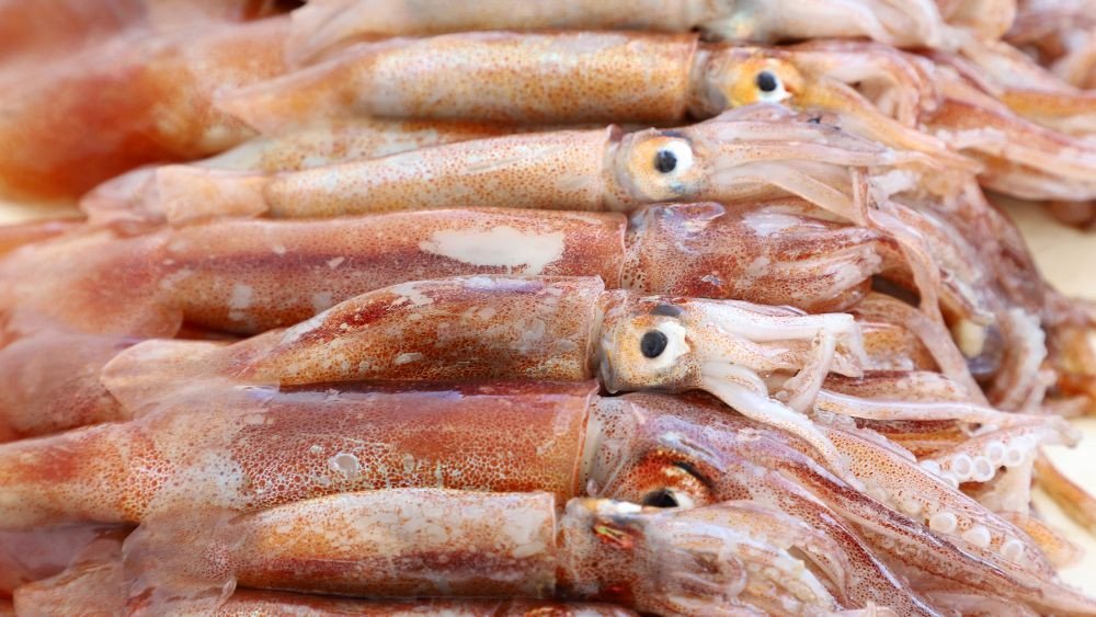 Sơ chế mực tươi làm sạch trước khi ướp