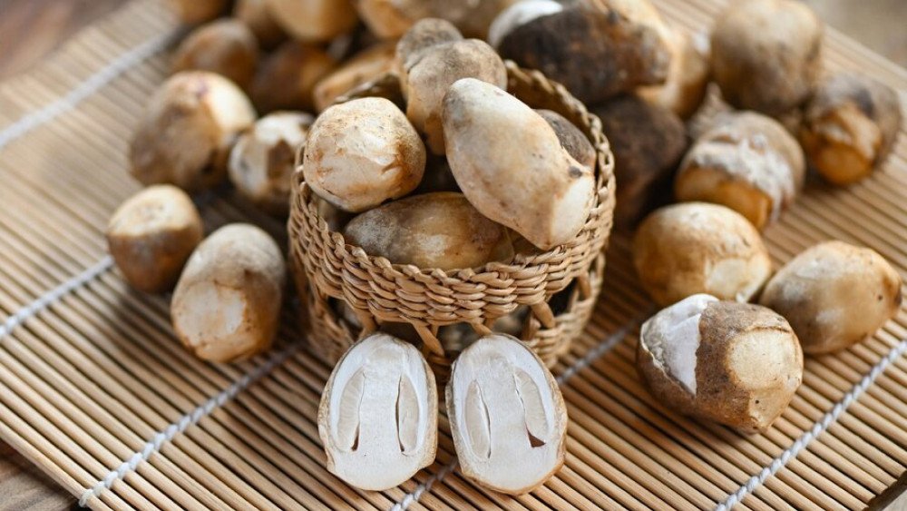 Sơ chế nấm rơm sạch sẽ để nấu cháo hàu