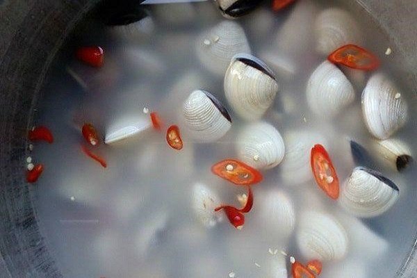 Sơ chế nghêu hấp Thái bằng cách ngâm nước vo gạo giúp làm sạch nghêu hiệu quả
