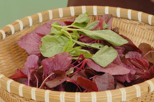 Sơ chế rau dớn, loại bỏ lá già úa để có món canh rau dớn ngon nhất
