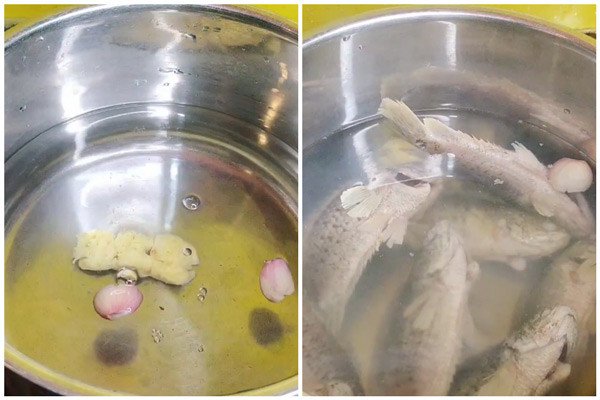Sơ chế và luộc cá rô đồng với gừng giúp khử mùi tanh hiệu quả