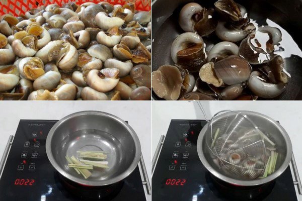 Sơ chế và luộc sơ ốc mỡ để thịt ốc giòn