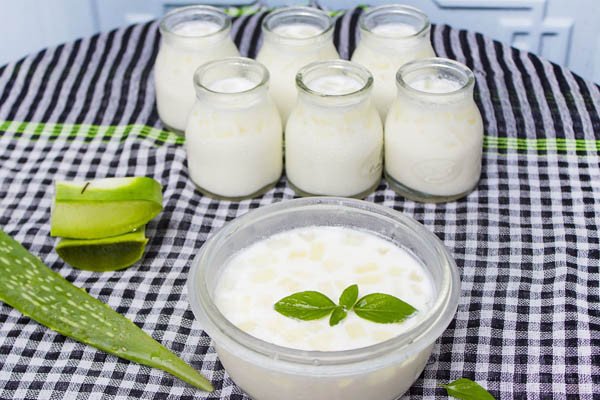 Thành phẩm sữa chua nha đam sánh mịn và thơm mát