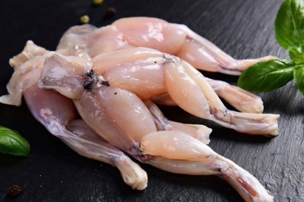 Thịt ếch cần được sơ chế và chế biến kỹ lưỡng