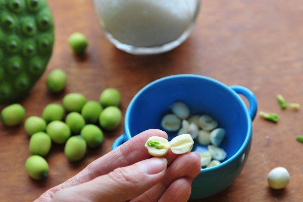 Tim sen xanh cần loại bỏ khi làm sữa hạt sen
