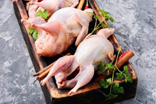 Tổ yến chưng cùng chim bồ câu và hạt sen, món yến tần bổ dưỡng dành cho người cần bồi bổ sức khỏe
