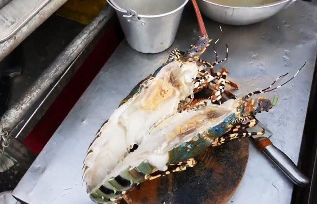Tôm hùm chẻ đôi chuẩn bị nướng phô mai