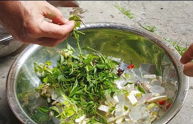 Trộn đều các nguyên liệu gỏi sứa