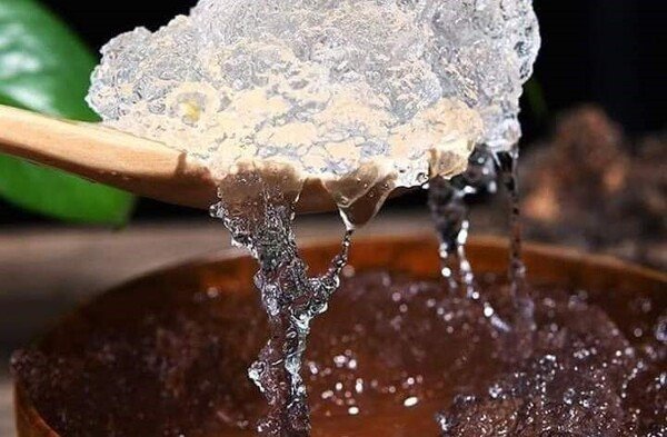 Tuyết yến và bồ mễ ngâm nở trong nước