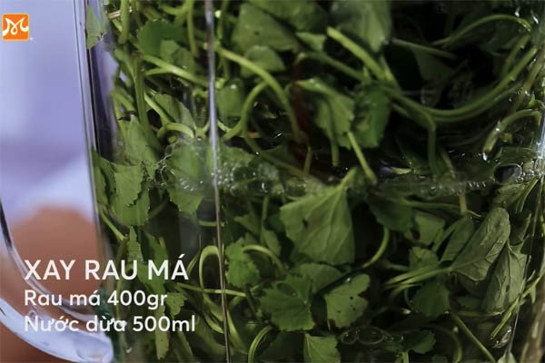 Xay nhuyễn rau má với nước dừa tươi