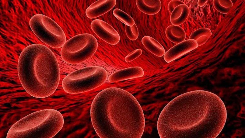 Ăn bò kho có thể giúp ngăn ngừa thiếu máu