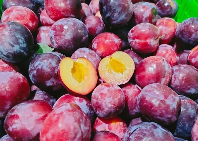 Ăn Mận Bao Nhiêu Calo? Khám Phá Lợi Ích & Lưu Ý Quan Trọng Ăn mận bao nhiêu calo