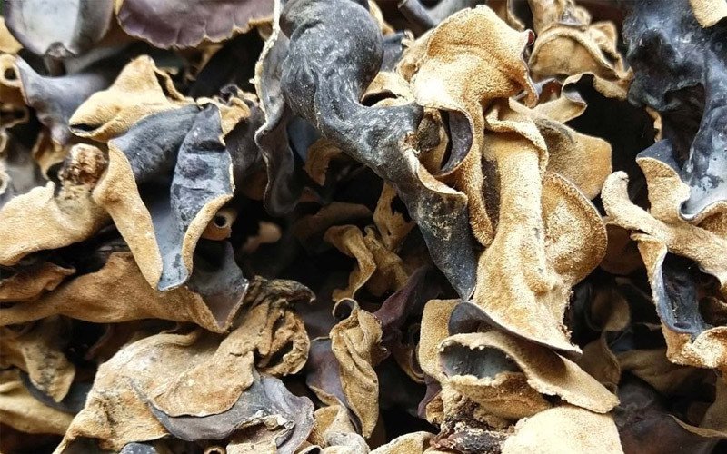 Ăn nấm mèo hỗ trợ giảm cân