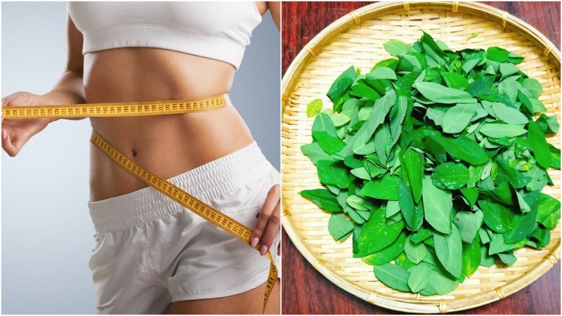 Ăn rau ngót hỗ trợ giảm cân