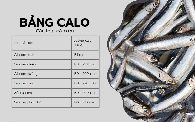 Bảng tham khảo calo của cá cơm và các loại cá, cơ sở để hiểu mắm cá cơm bao nhiêu calo