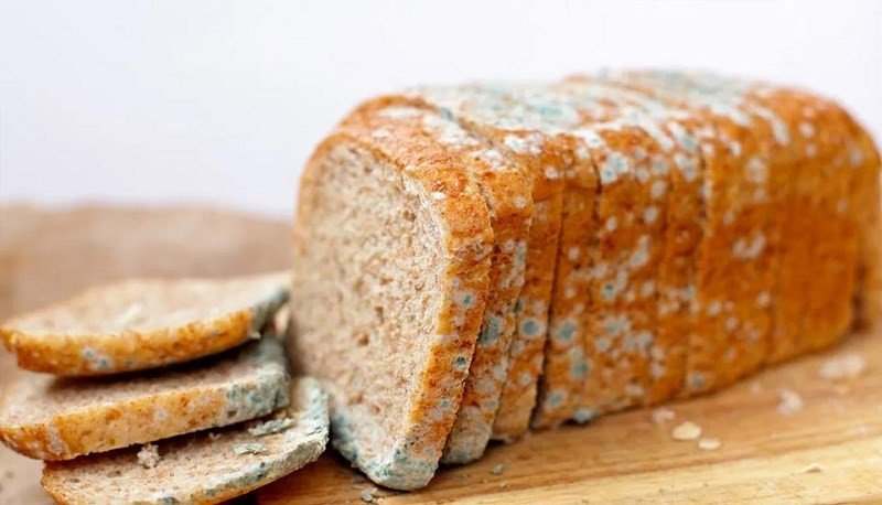 Bánh mì sandwich bị nấm mốc, dấu hiệu nhận biết bánh mì hỏng cần vứt bỏ để đảm bảo sức khỏe.