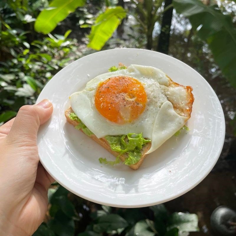 Bánh mì sandwich kẹp trứng ốp la nguyên cám