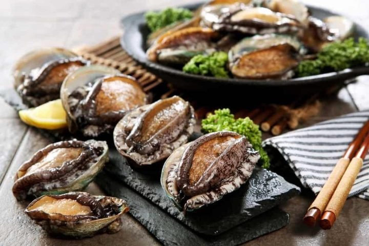 Bào ngư tươi sống, hải sản quý giá