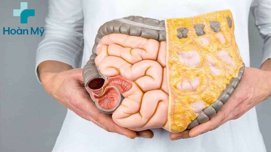 Bát cơm trắng dễ tiêu hóa