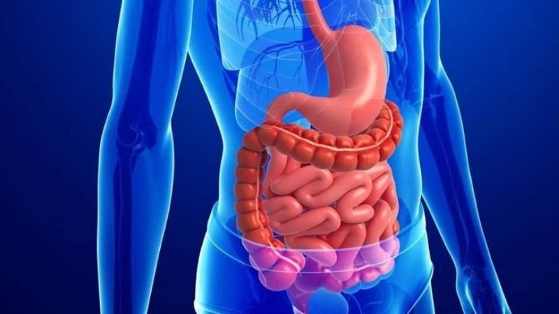 Bát tương ớt đỏ tươi đặt cạnh trái ớt, làm nổi bật lợi ích của tương ớt đối với hệ tiêu hóa