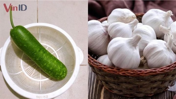 Bầu Xào Bao Nhiêu Calo? Phân Tích Dinh Dưỡng Món Ngon Bầu và tỏi tươi