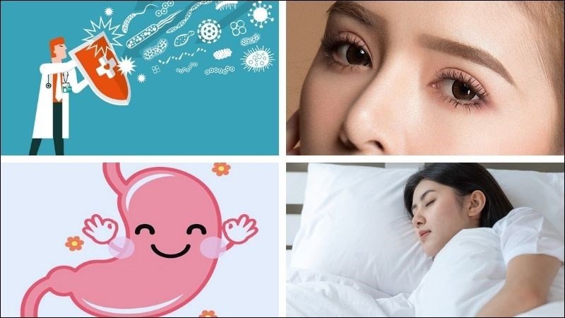 Bí đao mang lại nhiều lợi ích sức khỏe toàn diện bên cạnh khả năng hỗ trợ giảm cân