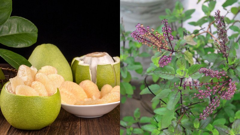 Bí quyết làm nước gội đầu vỏ bưởi và hương nhu