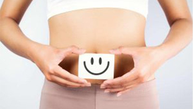 Bí xanh cải thiện chức năng hệ tiêu hóa
