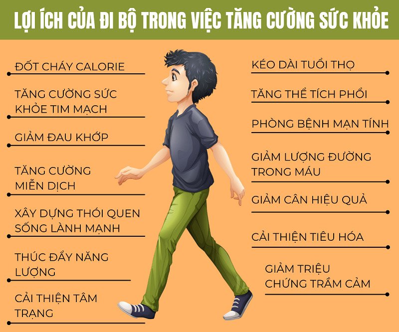 Biểu đồ minh họa các lợi ích sức khỏe từ việc đi bộ đều đặn, bao gồm việc đốt cháy calo.