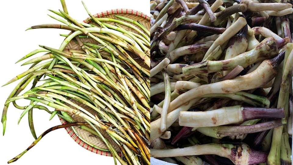 Bó ngó khoai tươi xanh non, sẵn sàng chế biến