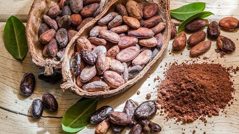 Bột cacao và chanh, nguyên liệu để chế biến sáp wax hương cacao
