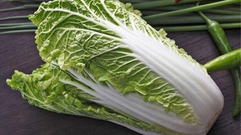 Bữa ăn lành mạnh với cải thảo, hỗ trợ quá trình giảm cân hiệu quả