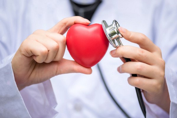 Cá basa chứa nhiều Omega-3 tốt cho sức khỏe tim mạch và não bộ