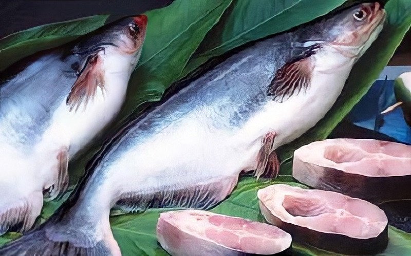 Cá basa và những lợi ích tuyệt vời cho sức khỏe tổng thể