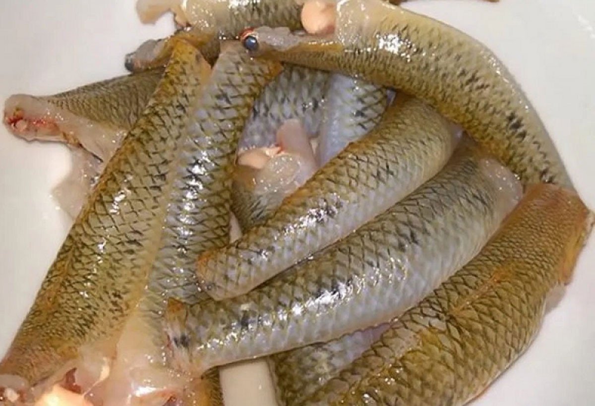 Cách Nấu Cá Bống Kho Tiêu Thơm Ngon Đậm Đà Chuẩn Vị Gia Đình