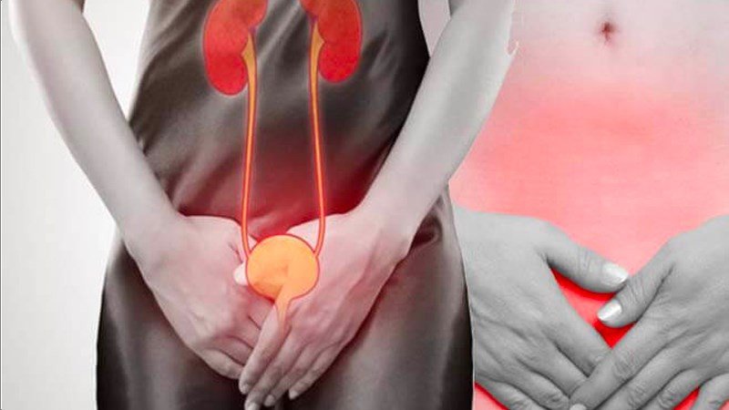 Cà chua chứa oxalat có thể góp phần hình thành sỏi thận