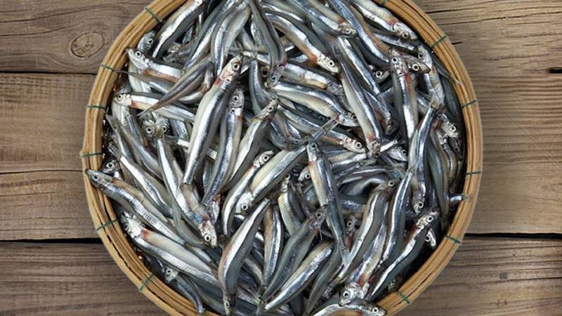 Cá cơm giúp xương chắc khỏe nhờ hàm lượng canxi, một phần dinh dưỡng quan trọng của cá cơm kho tiêu