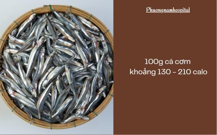 Mắm Cá Cơm Bao Nhiêu Calo? Phân Tích Dinh Dưỡng Chi Tiết Cá cơm tươi, nguyên liệu chính để làm mắm cá cơm giàu dinh dưỡng