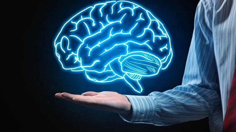 Cá hồi tốt cho não bộ