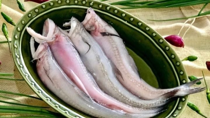 Cá khoai tươi ngon để nấu canh