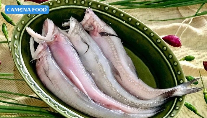 Cá khoai tươi ngon