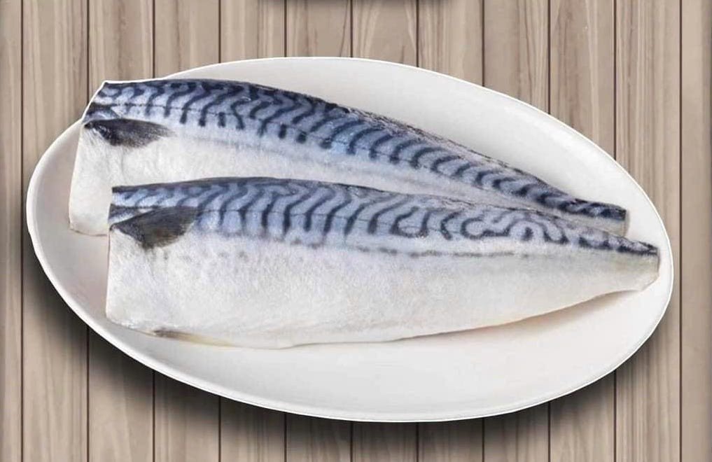 Cá saba Nhật phi lê tươi