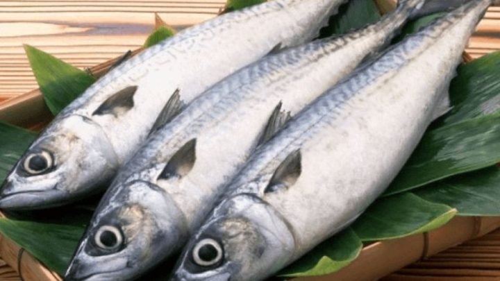 Cá thu giàu dinh dưỡng với các vitamin và khoáng chất