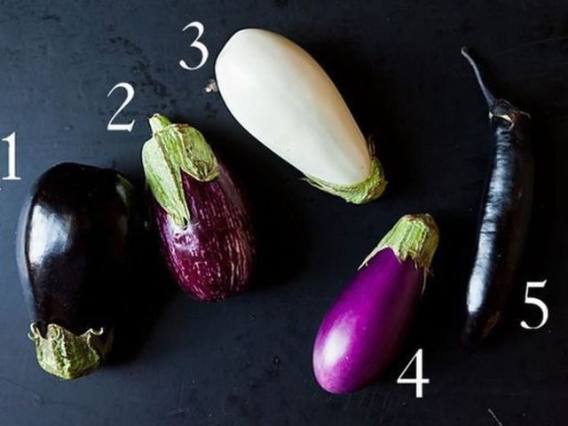 Các loại cà tím với màu sắc và hình dáng đa dạng