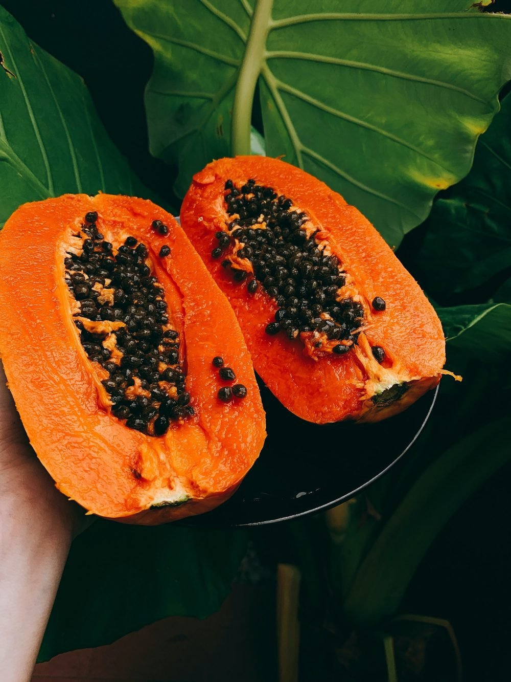Các loại đu đủ giàu dinh dưỡng, ít calo